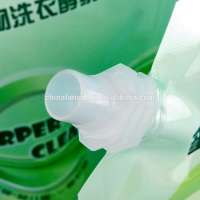 Stand up liquid detergent spout bag